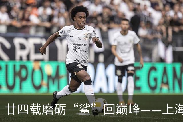 廿四载磨砺“鲨”回巅峰——上海男篮夺冠之路